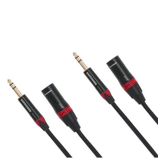 Rannsgeer R7A01P2 1/4" TRS to XLR Male 2 Pack 1 Feet Cable
