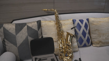 Rannsgeer Saxophone Clip-On Wired Condenser Mic with Rechargeable 48V Phantom Power & XLR