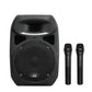 Audio2000s AWP6408HH 50W 8" 2 Channel Wireless Microphone Portable PA System with 2 Handheld
