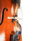 Rannsgeer PMMB19 Viola Clip-On Musical Instrument Microphone